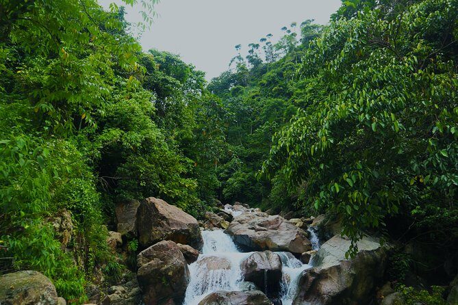 Bogor Botanical Garden & Rainforest Trekking to Hidden Waterfall - The Itinerary: What to Expect