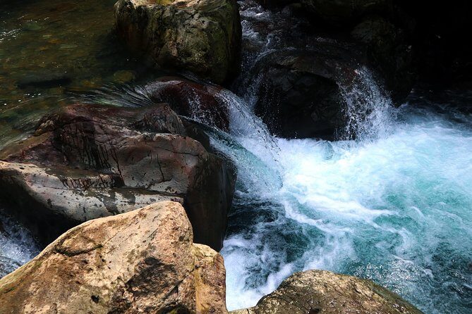 Bogor Botanical Garden & Rainforest Trekking to Hidden Waterfall - The Experience and the Guides