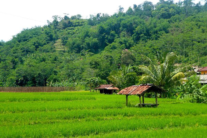 Bogor Botanical Garden & Rainforest Trekking to Hidden Waterfall - Value for Money