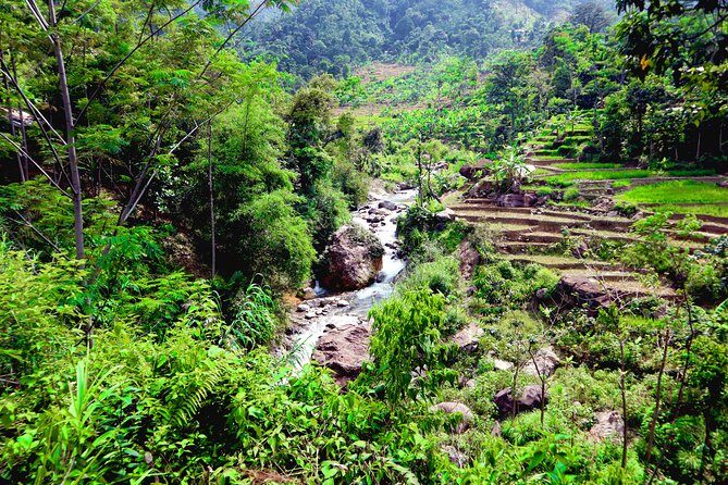 Bogor Botanical Garden & Rainforest Trekking to Hidden Waterfall - Who Is This Tour Best For?