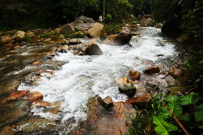 Bogor Botanical Garden & Rainforest Trekking to Hidden Waterfall - Final Thoughts