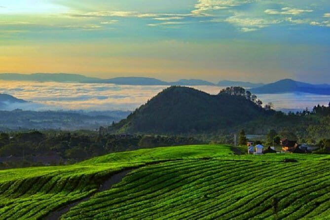 Bogor City Full-Day Private Tour from Jakarta with Pick Up - Who Will Love This Tour?
