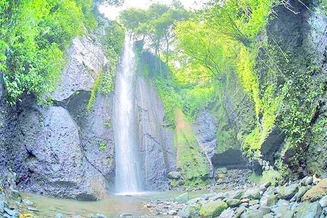 Bogor City Tour Nature waterfall with Local Food ( Start From Jakarta ) - Practical Details That Matter