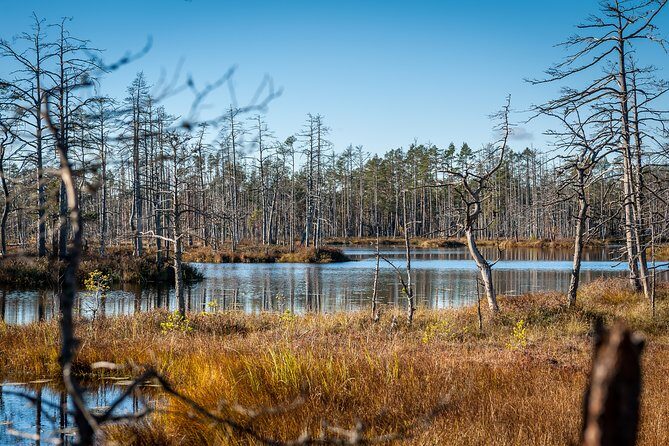 Bogs and Resorts in Jrmala - Why It’s a Great Choice