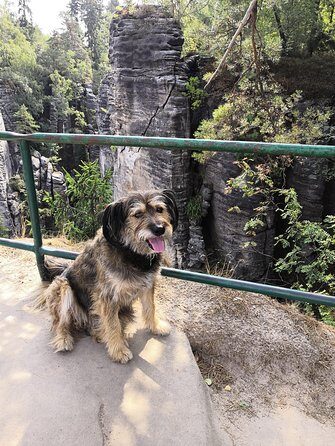 Bohemian Paradise (eský ráj) UNESCO geopark nature walks - Who Should Consider This Tour?