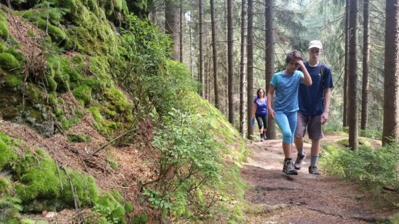 Bohemian Switzerland: Private Day Trip from Prague - Key Points