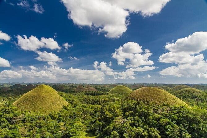 Bohol Balicasag Island Hopping with Dolphin Watching and Lunch - Frequently Asked Questions (FAQ)