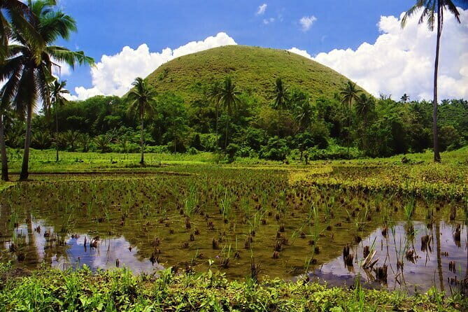 Bohol Choco Tour with Loboc River Lunch Buffet - Who Is This Tour Best For?