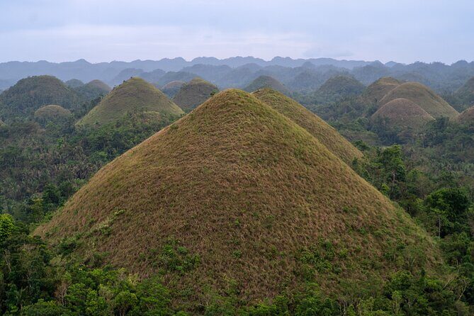 Bohol Chocolate Farm and Chocolate Hills Private Tour - The Sum Up