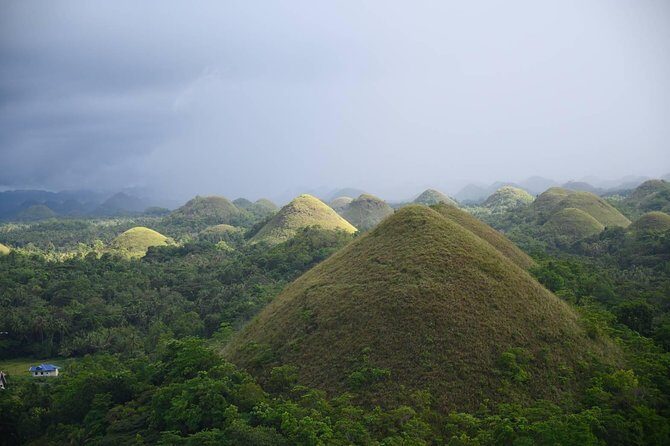 Bohol Chocolate Hills & Tarsiers with roundtrip ferry from Cebu - An In-Depth Look at What to Expect