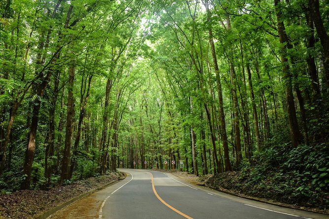Bohol Countryside Day Tour from Cebu City or Mactan - Best Seller - Key Points