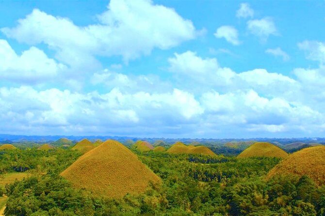 Bohol Countryside Day Tour from Cebu City or Mactan - Best Seller - Detailed Breakdown of the Itinerary
