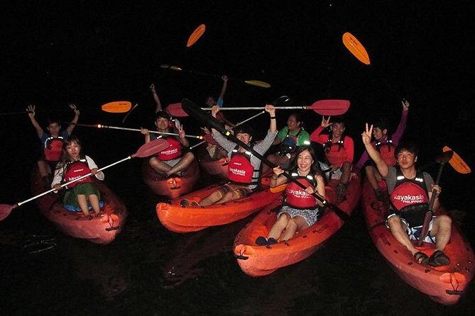 Bohol: Firefly Kayaking with Dinner - An In-Depth Look at the Experience