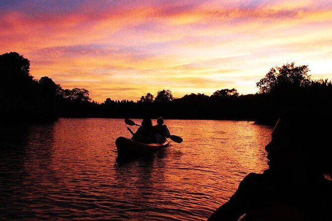 Bohol: Firefly Kayaking with Dinner - The Sum Up