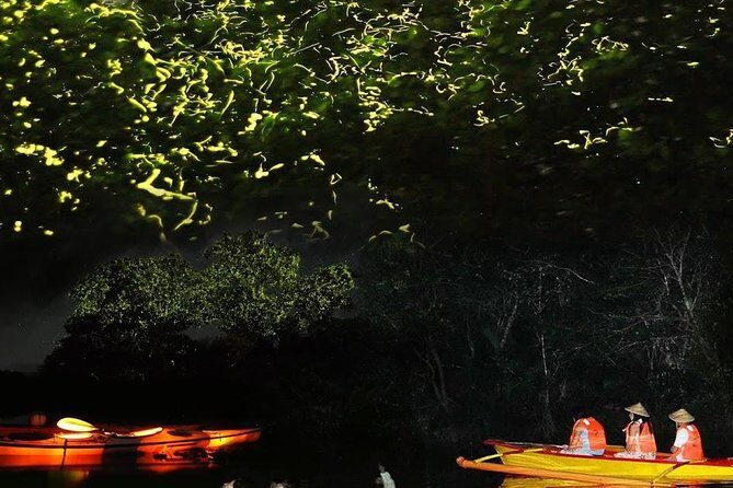 Bohol Firefly Or Fullmoon Tour Stand Up Paddle Tour - What to Expect from the Bohol Firefly or Full Moon Paddle Tour