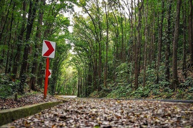 BOHOL Tour 2025 - Chocolate Hills, Tarsier and River Cruise Lunch - Why the Bohol Tour 2025 Stands Out