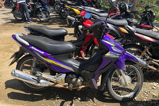 Bohol: Transport - Car-Van-MotorBike-Boat - Authentic Insights from Reviews