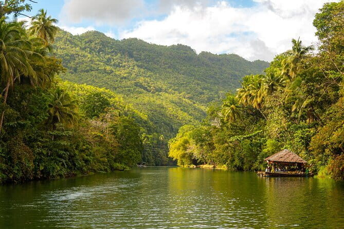 Bohol Whaleshark Watching with Loboc River Lunch - Key Points