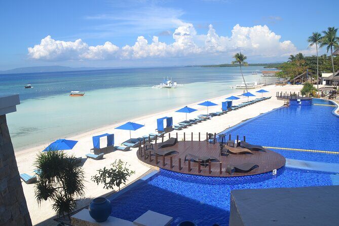 Bohol's Panglao Island Half Day Land & Half Day Island Hopping (Cebu or Bohol) - Diving into the Experience: What You Can Expect