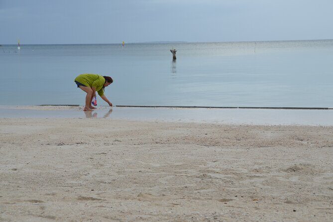 Bohol's Panglao Island Half Day Land & Half Day Island Hopping (Cebu or Bohol) - Final Thoughts