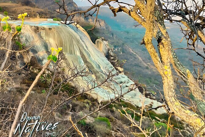 Boil the Water and Mitla Mezcal Tour - The Experience and Traveler Feedback