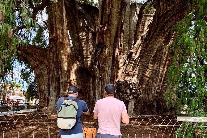 Boil water, Mitla, Teotitlan, Mezcal and more - The Sum Up