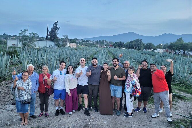 Boil Water,Tube Tree,Mitla,Mezcal and Teotitlan Valley - FAQ