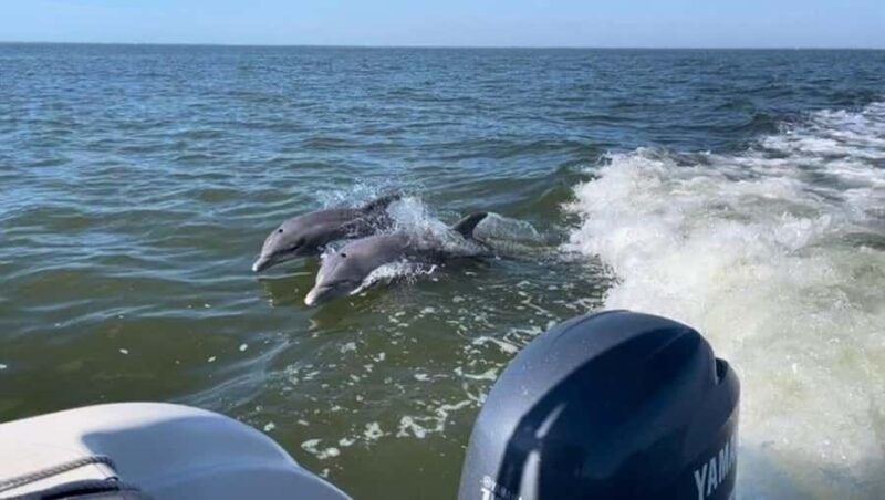 Bokeelia: Cabbage Key Nature Cruise - FAQ
