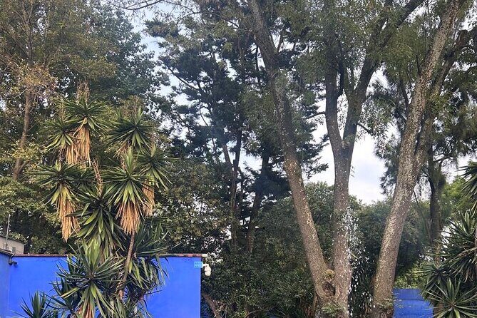 Boletos al Museo Frida Kahlo - Key Points