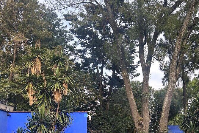 Boletos al Museo Frida Kahlo - FAQ