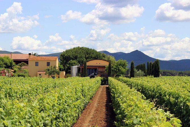 Bolgheri: Classic Wine Tasting with Winery Tour - Authentic Insights from Reviewers