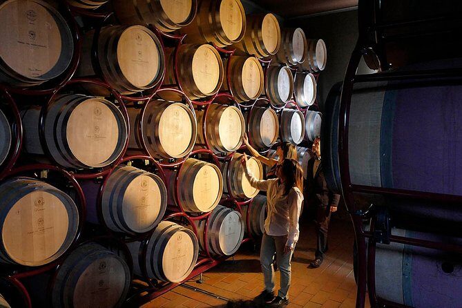 Bolgheri: Classic Wine Tasting with Winery Tour - FAQ