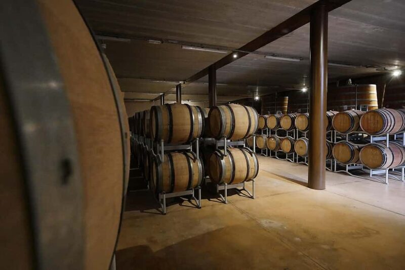 Bolgheri: guided visit of the winery and tasting of our wines - Key Points