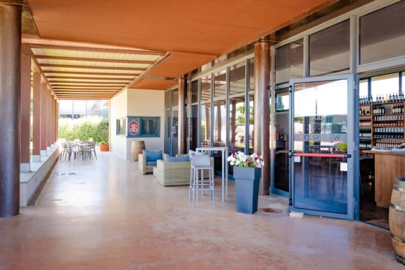 Bolgheri: guided visit of the winery and tasting of our wines - What to Expect from the Tour