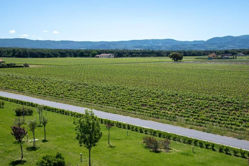 Bolgheri: guided visit of the winery and tasting of our wines - Frequently Asked Questions