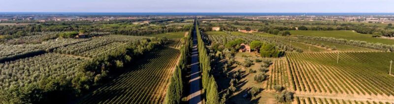 Bolgheri: Guided Walking Tour of the Village - A Closer Look at the Bolgheri: Guided Walking Tour