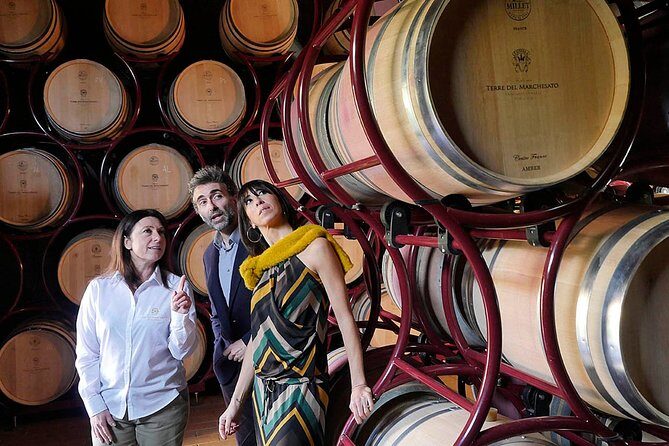 Bolgheri: Premium Wine Tasting with Winery Tour - Exploring Bolgheri: A Tour of Premium Wines and Authentic Flavors