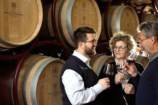Bolgheri: Premium Wine Tasting with Winery Tour - Key Points