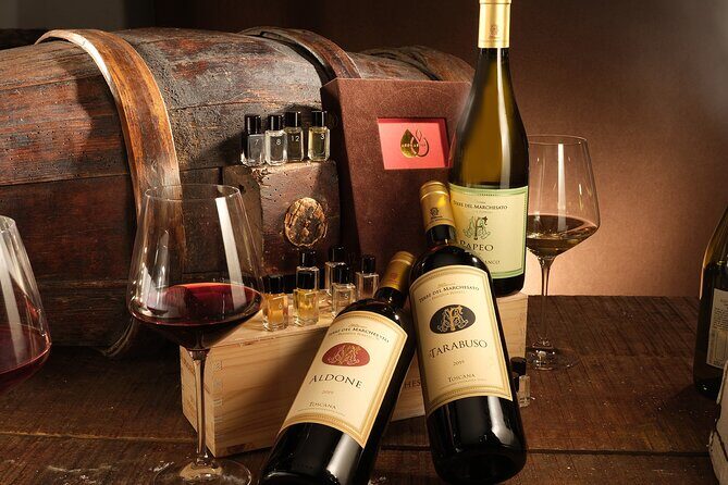 Bolgheri: Sensorial Wine Tasting with Winery Tour - Bolgheri: Sensorial Wine Tasting with Winery Tour — A Deep Dive