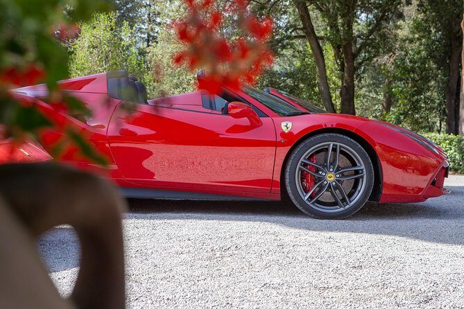 Bolgheri / Volterra / Florence-Tour in Ferrari - Final Thoughts