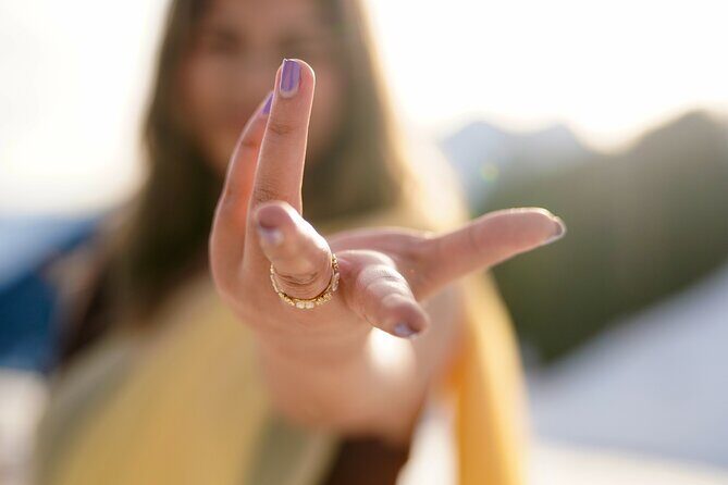 Bollywood Private Day Tour in Zurich - Practical Details & Logistics