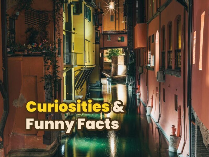 Bologna: Digital Guide made by a Local for your walking tour - Who Is This Tour Best For?