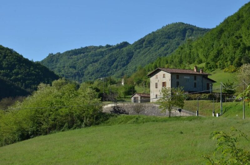 Bologna Forlì: foraging, looking for wild edible herbs - Key Points