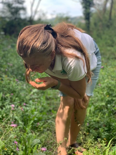 Bologna Forlì: foraging, looking for wild edible herbs - What to Expect From the Foraging Tour