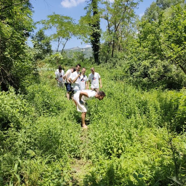 Bologna Forlì: foraging, looking for wild edible herbs - The Sum Up: Is It Worth It?
