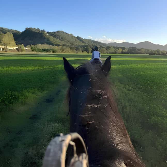 Bologna: Horseback Ride in the Bolognese Hills - Authentic Experience Meets Easy Accessibility