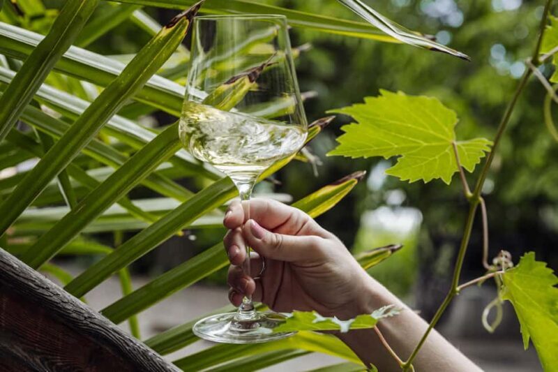 Bolzano: Wine Tasting at SKYWINE Pavilion with Views - The Tasting: 6 Biodynamic Wines