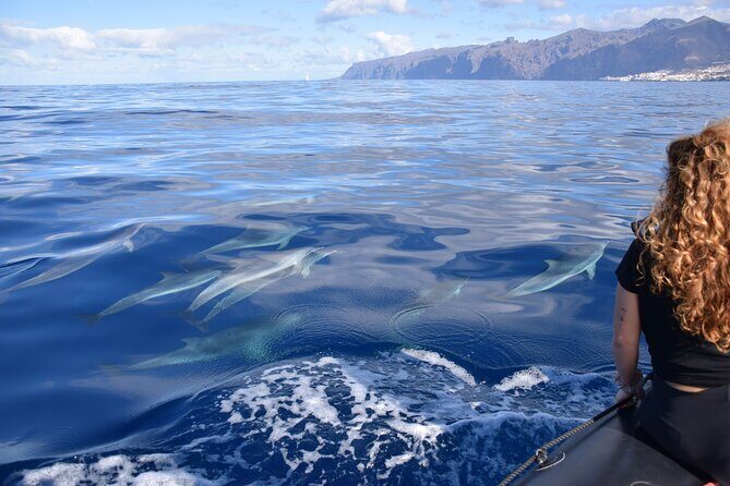 Bonadea II Ecological Whale Watching, 2 hours - Final Thoughts: Why This Tour Stands Out