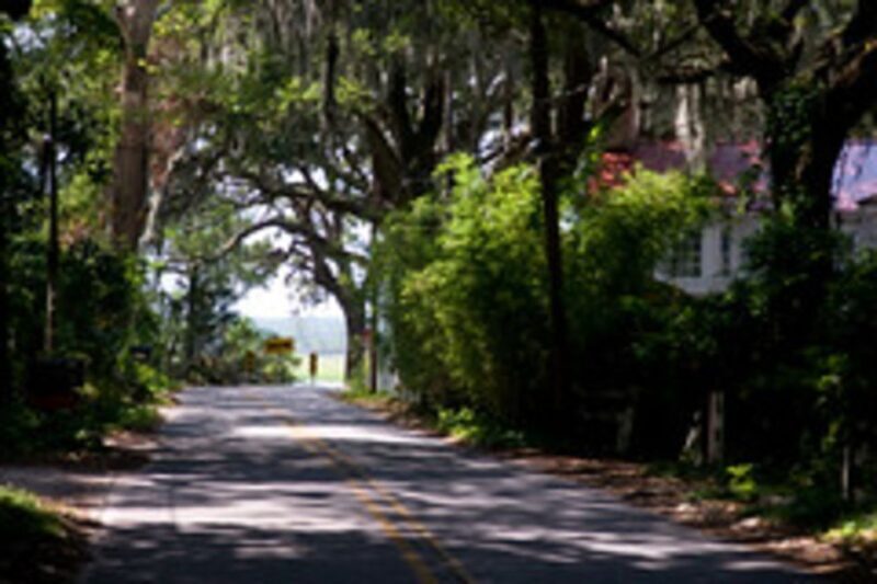 Bonaventure Cemetery & Wormsloe State Historic Site Tour - Potential Drawbacks