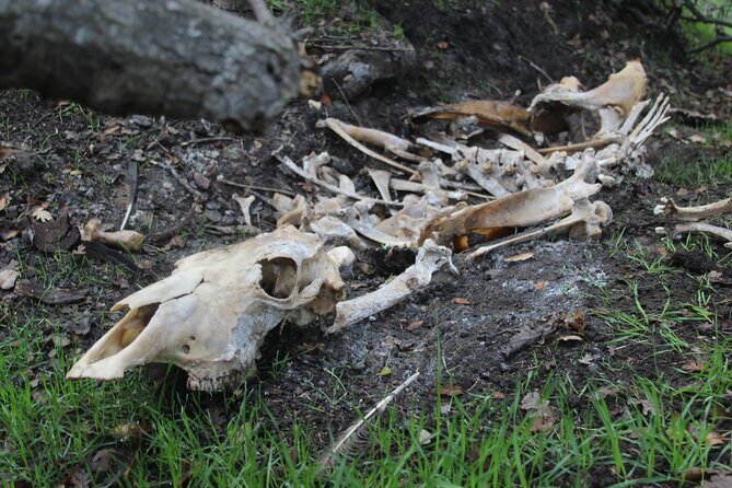 Bone Hunting in Wyoming - The Sum Up: Who Should Consider This Tour?